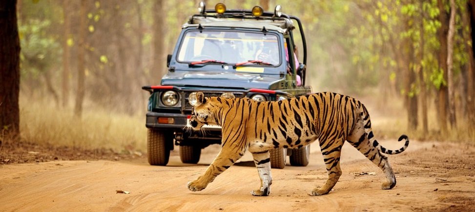 Valmiki Tiger Reserve Itinerary